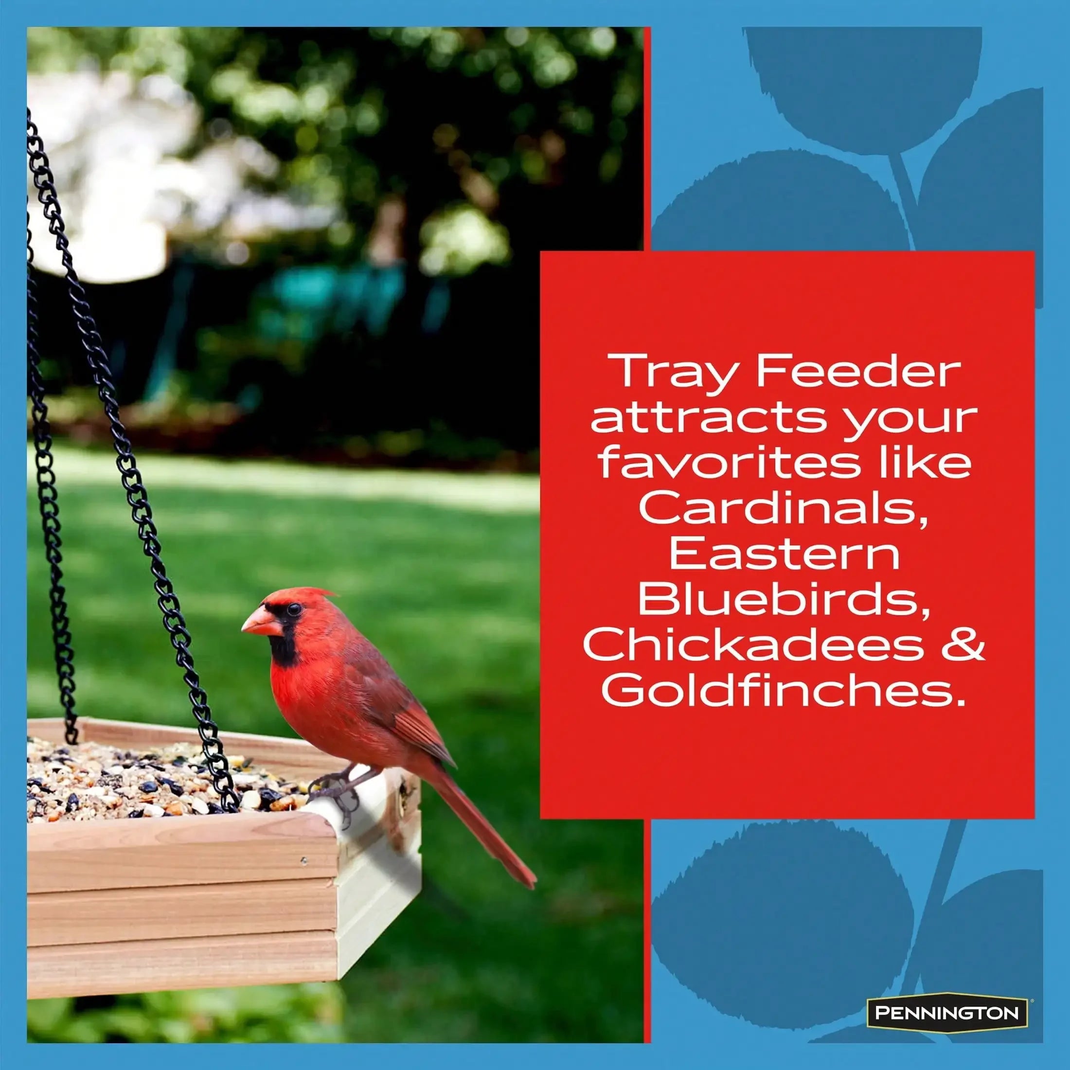 (3-Pack) 2-in-1 Bird Bath and Bird Feeder, 4 lbs,Keep seeds fresh,Durable.