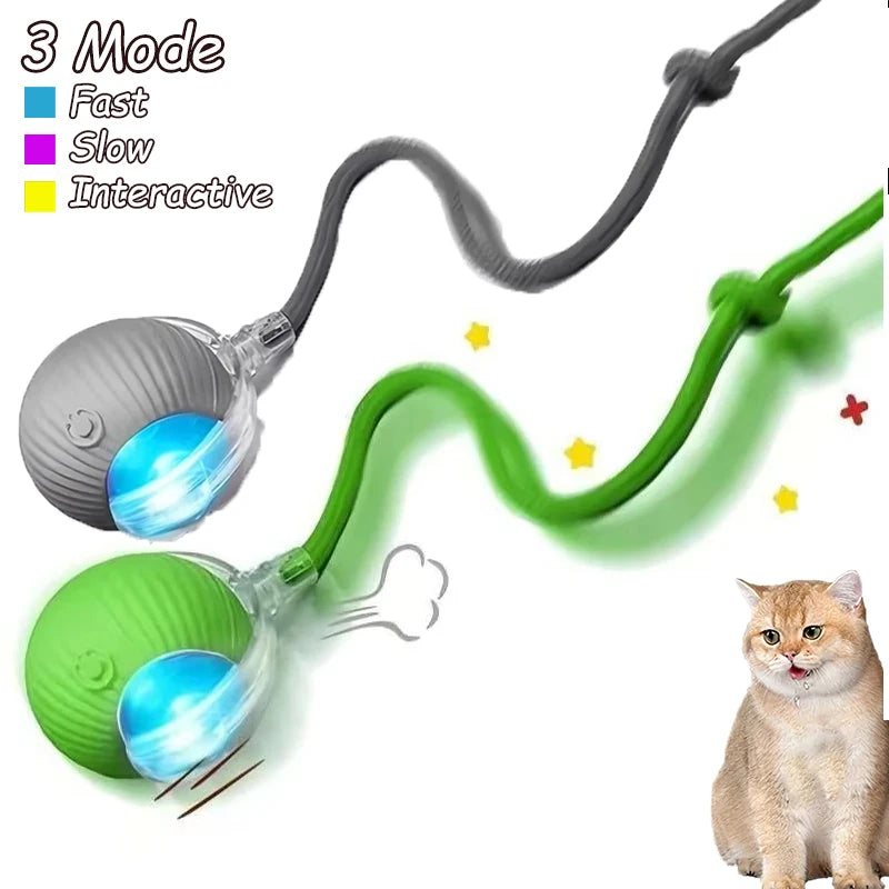 2Pcs Cat Interactive Ball Toys Automatic Rolling Ball.