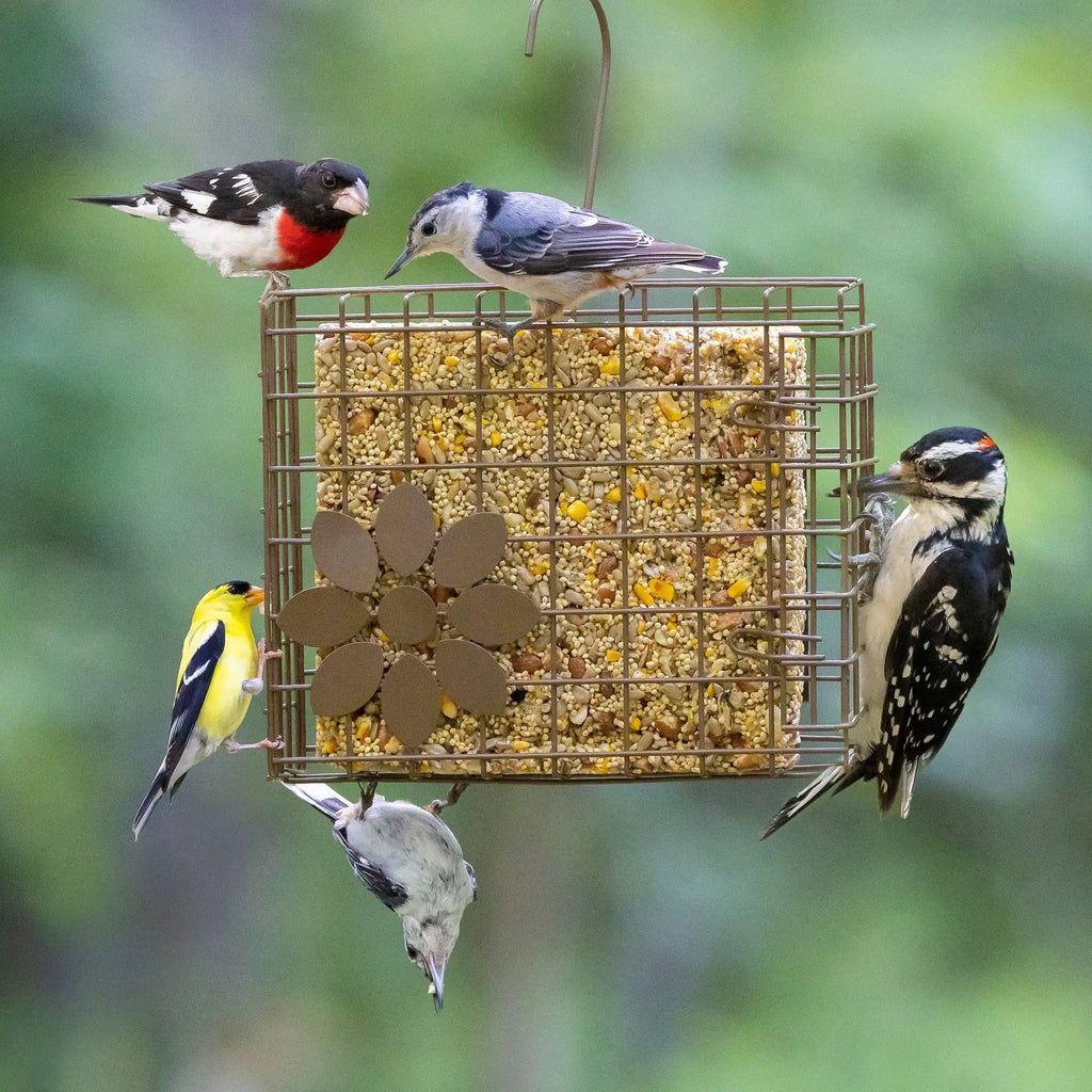 (Pack of 2) 7" Seed Cake Basket Bird Feeder, Antique Bronze.