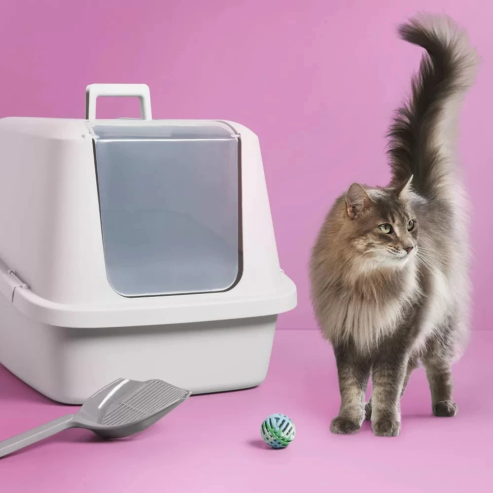 Enclosed Cat Litter Box with Front Door Flap,Covered Kitty Litter Boxes with Top Handle,BPA Free Large Litter Pan with Lid,Gray