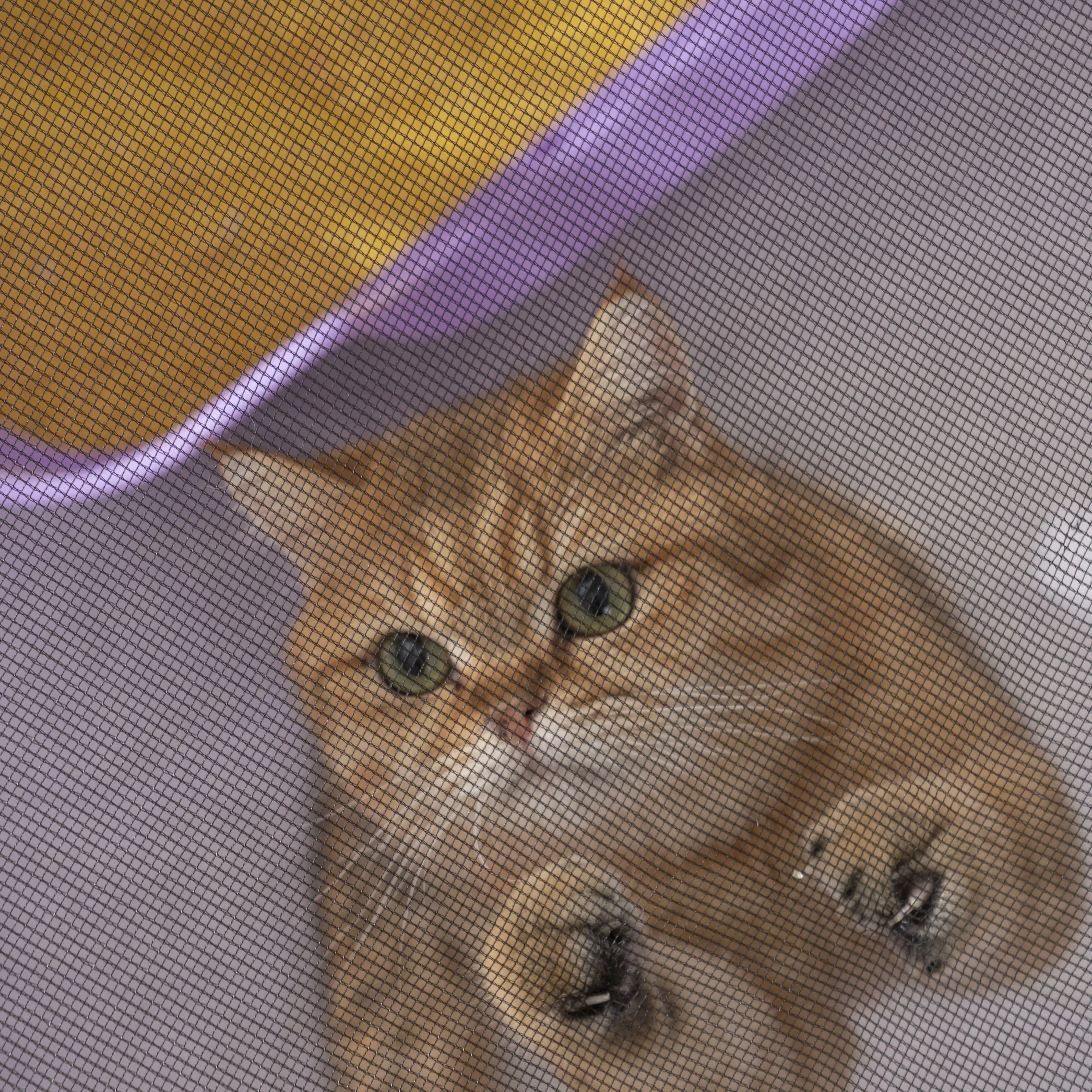 Foldable Mesh Ventilated Circular Cat Nest Outdoor/Indoor.