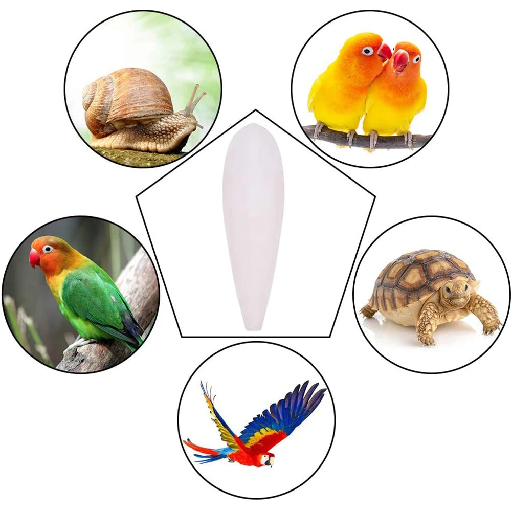 Cuttlefish Bone Parrot Chew Toys Chewing Bird Food Calcium Cuttlebone Pick Stone