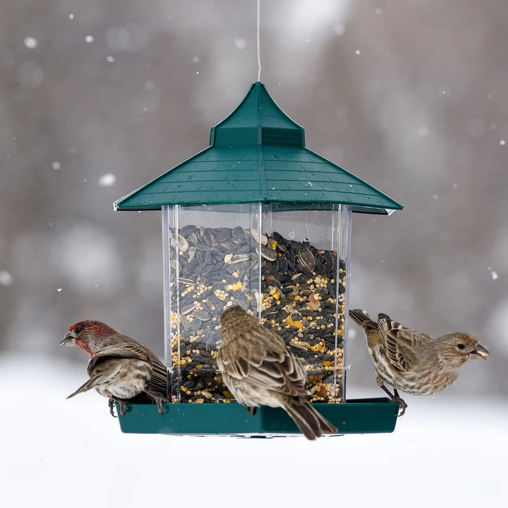 Wild Bird Feeders for Outside Rust Proof Hanging Feeders Squirrel Proof.