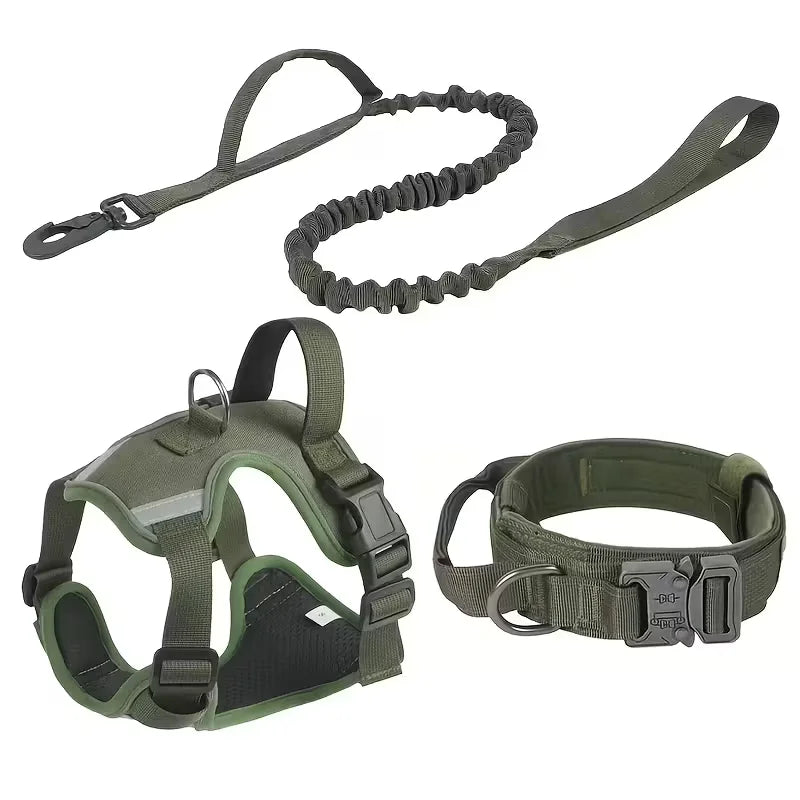 Dog harness with leash, and collar.