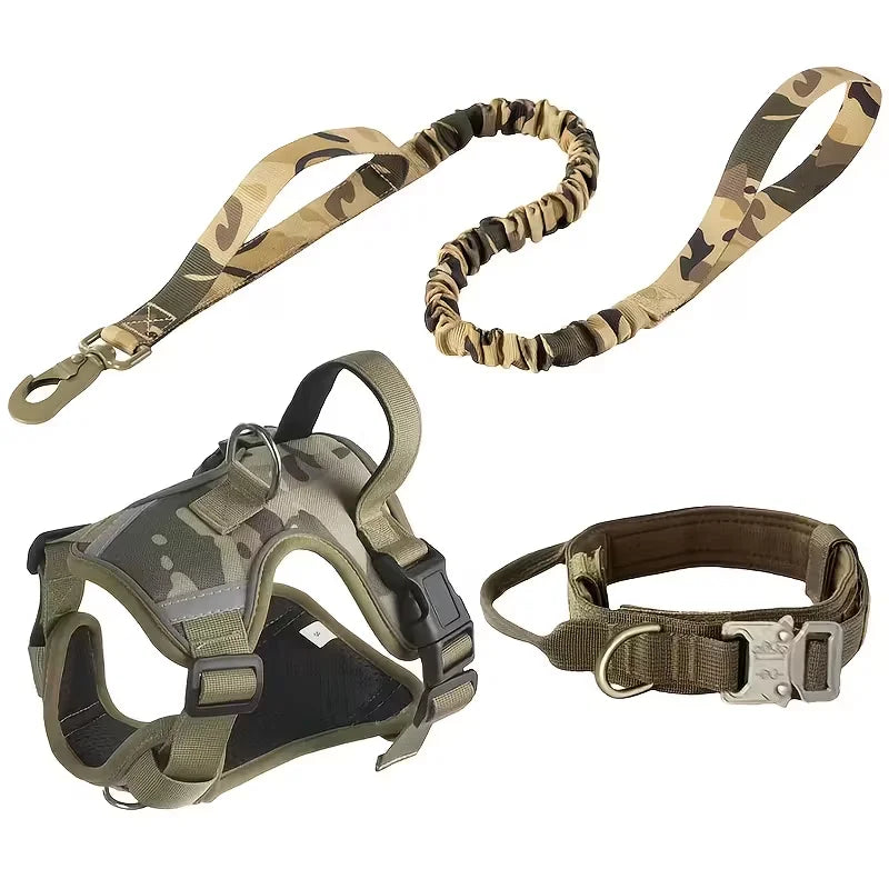 Dog harness with leash, and collar.