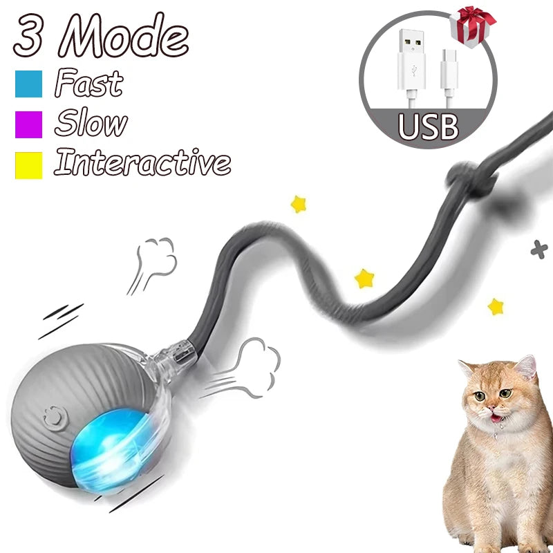2Pcs Cat Interactive Ball Toys Automatic Rolling Ball.