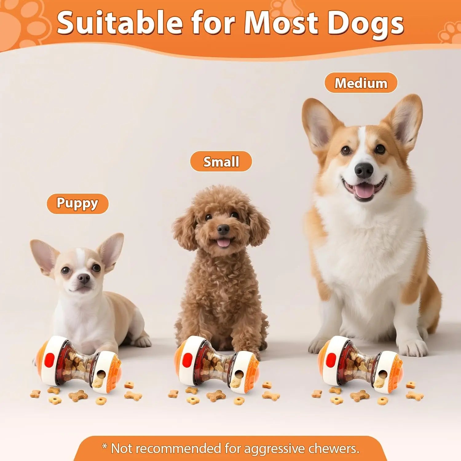 Interactive dog toys for small dogs.