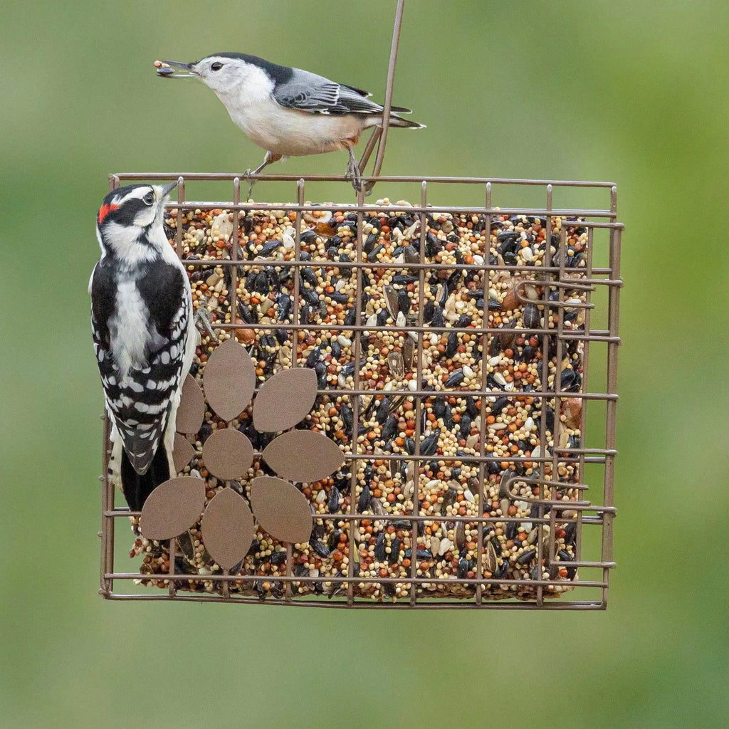 (Pack of 2) 7" Seed Cake Basket Bird Feeder, Antique Bronze.