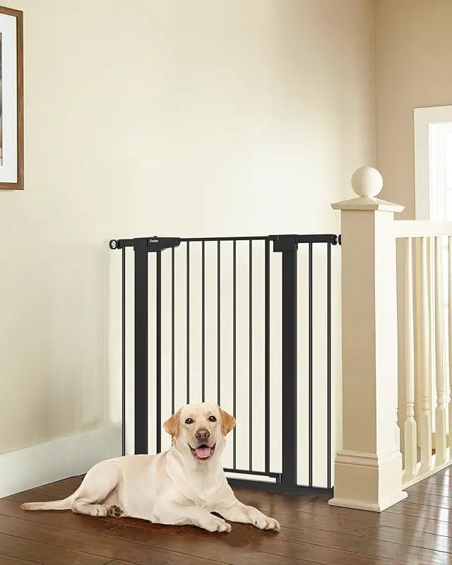29.7-40.6" Pet Gate for Stairs/Doorways, Mom's Choice Winner, Auto-Close Pressure Mounted, Pet & Child Safety Gate Indoor