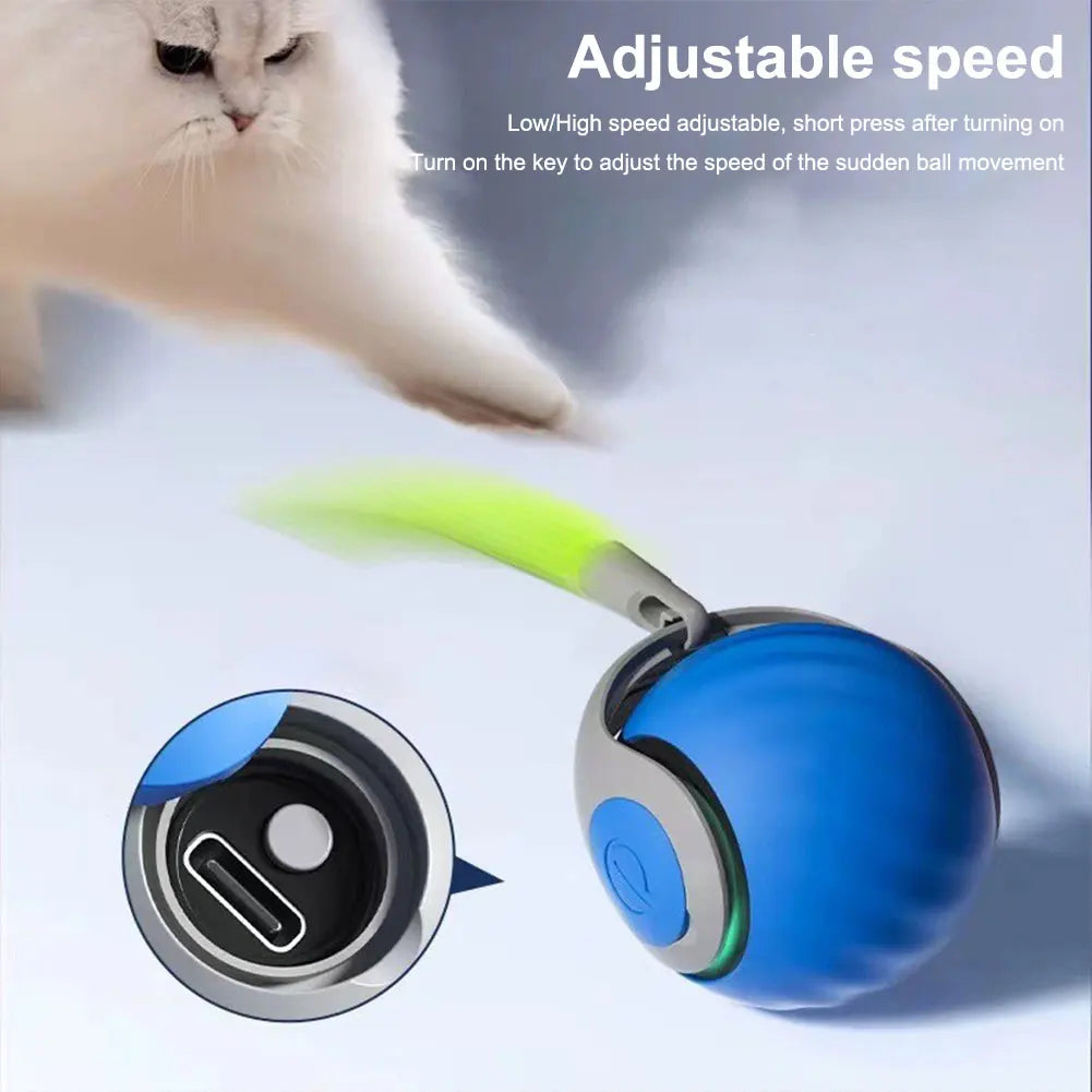 Toy Ball Electronic Interactive Pet Toy Moving Ball Rechargeable Automatic Moving Bouncing