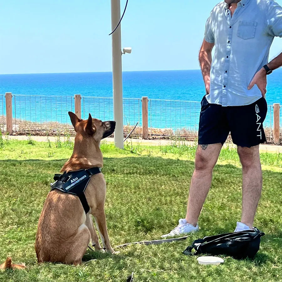 Dog Harness Vest ID Patch Customized Reflective Adjustable Pet Harness