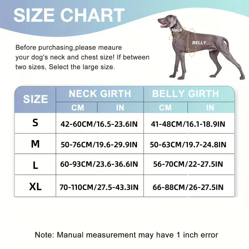 Dog harness with leash, and collar.