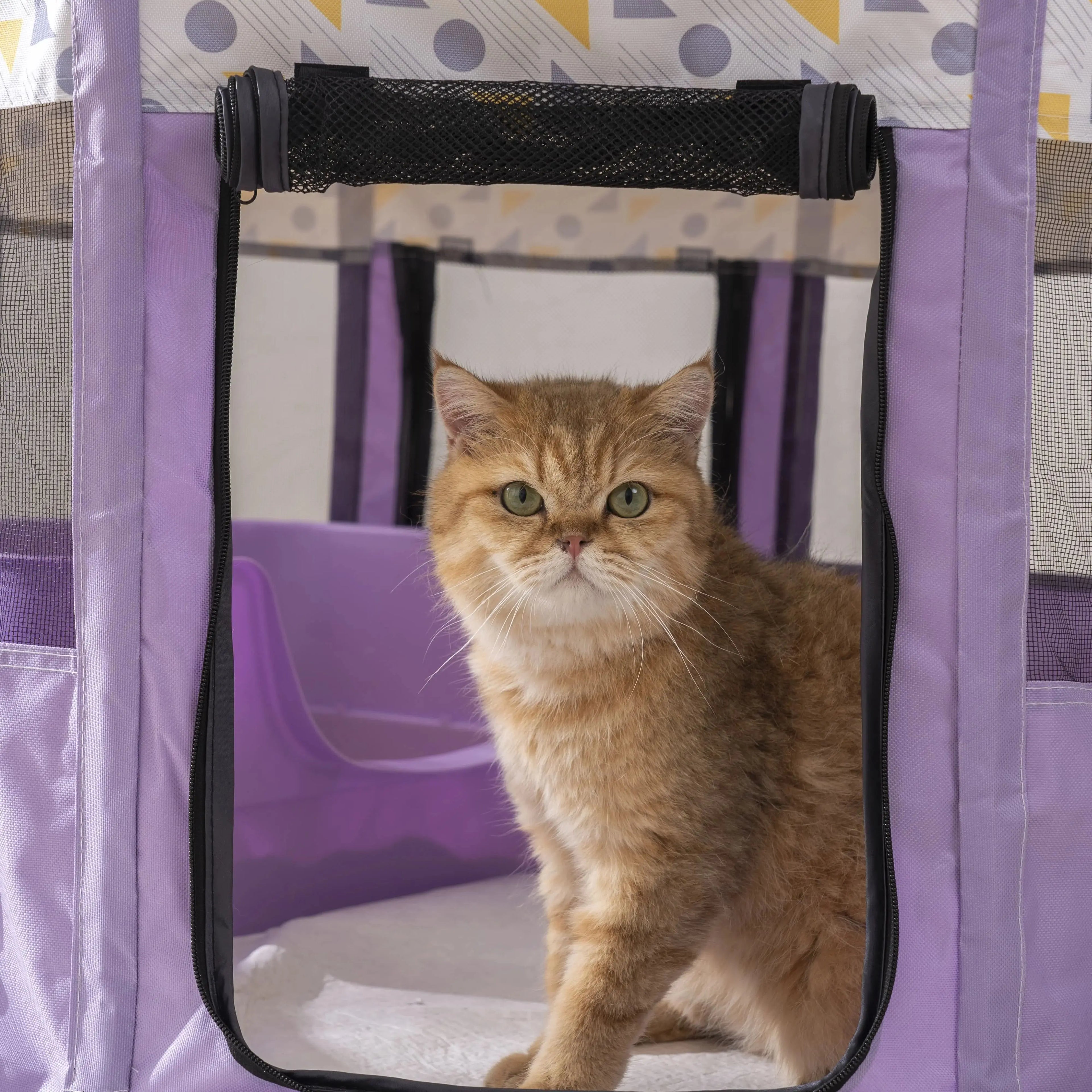 Foldable Mesh Ventilated Circular Cat Nest Outdoor/Indoor.