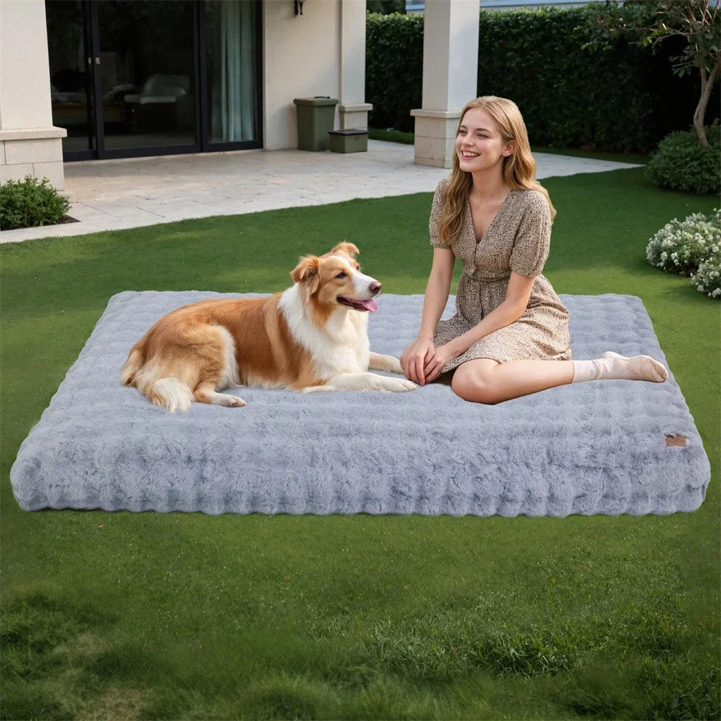 Dog Bed Pet Cozy Sleep Bed Cat Calming Bed, With Removable Cover Machine Washable.