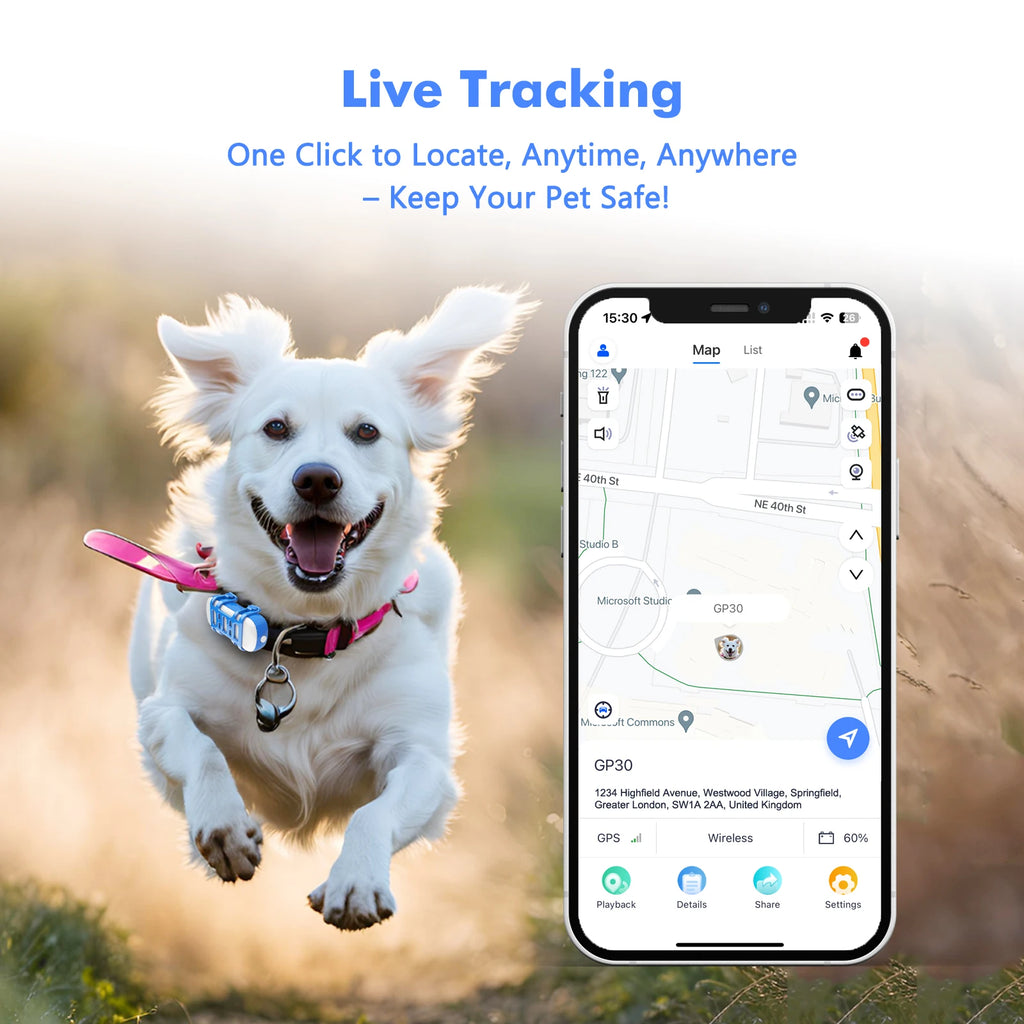 ‌4G Dog Cat GPS Tracker for Pets - Waterproof Smart Locator with App, Live Tracking & Light/Sound Search with Subscription.